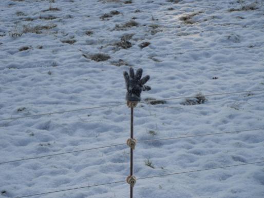 A lost glove in the snow ...